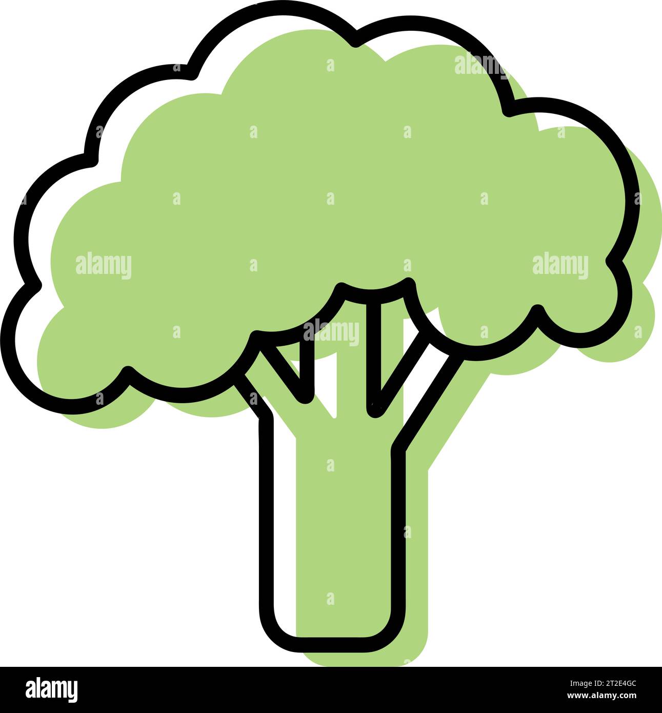 Broccoli illustrazione vettoriale disegnata a mano isolata su sfondo bianco. Broccoli freschi, icona della natura Illustrazione Vettoriale