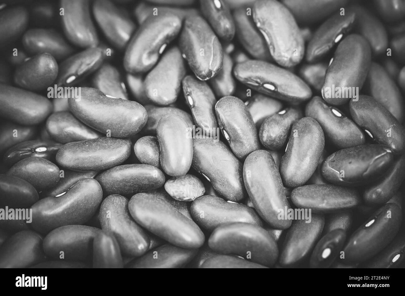 cibo colorato come sfondo astratto o carta da parati Foto Stock