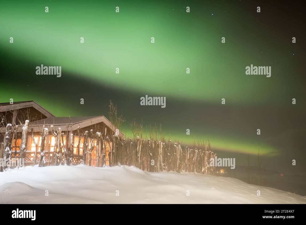 Loro luci notturne Foto Stock