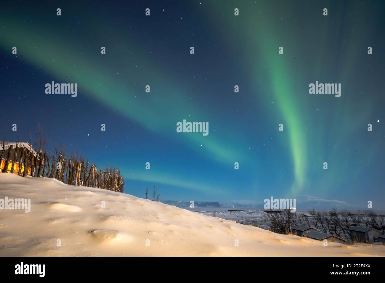 Loro luci notturne Foto Stock