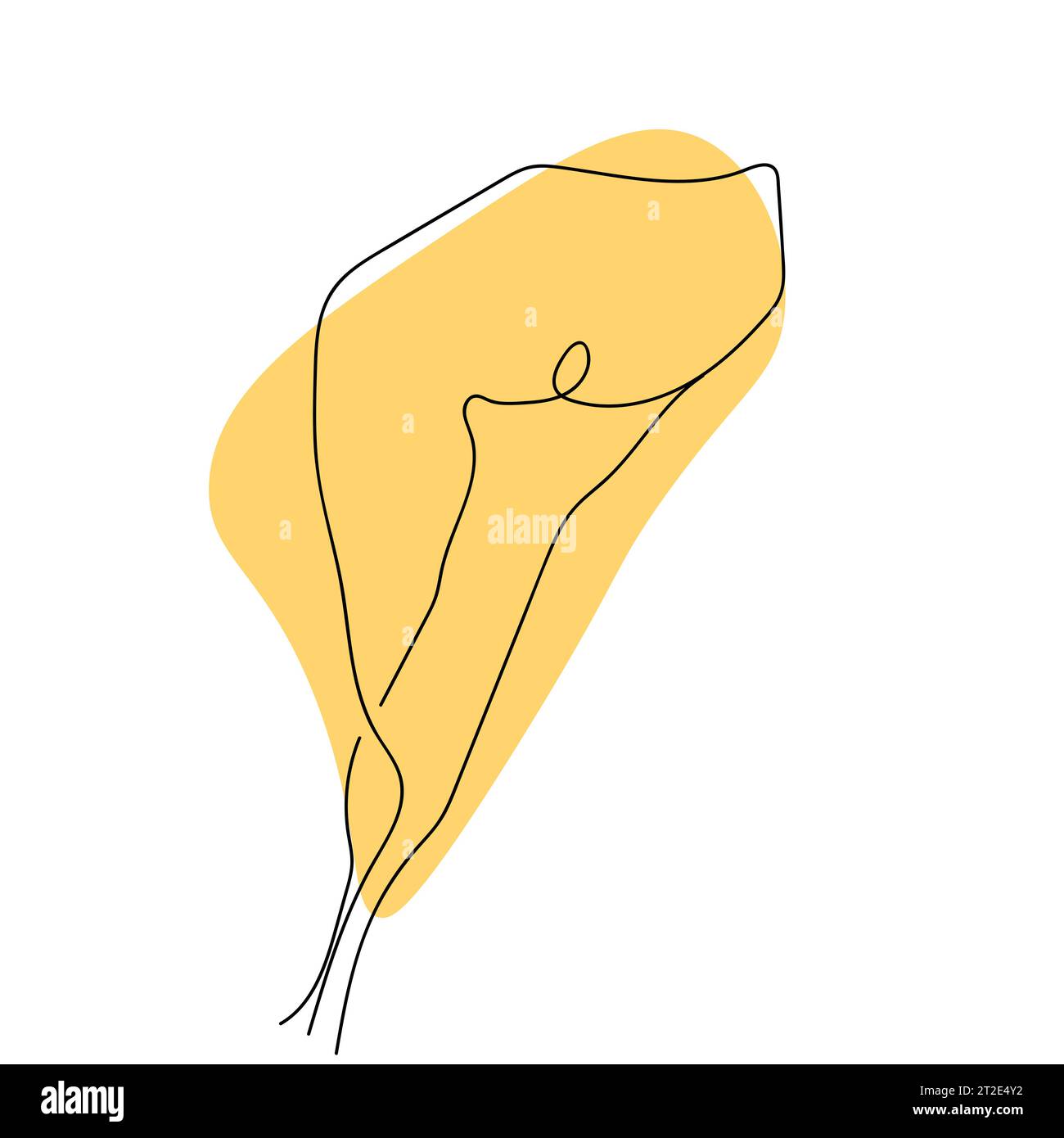 Fiore di giglio calla. Disegno continuo della linea. Semplice disegno a linee fiore per logo, icona, design Illustrazione Vettoriale