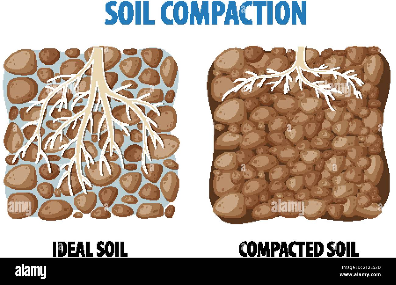 Diagramma illustrato che confronta la densità di compattazione del suolo per l'apprendimento della scienza Illustrazione Vettoriale