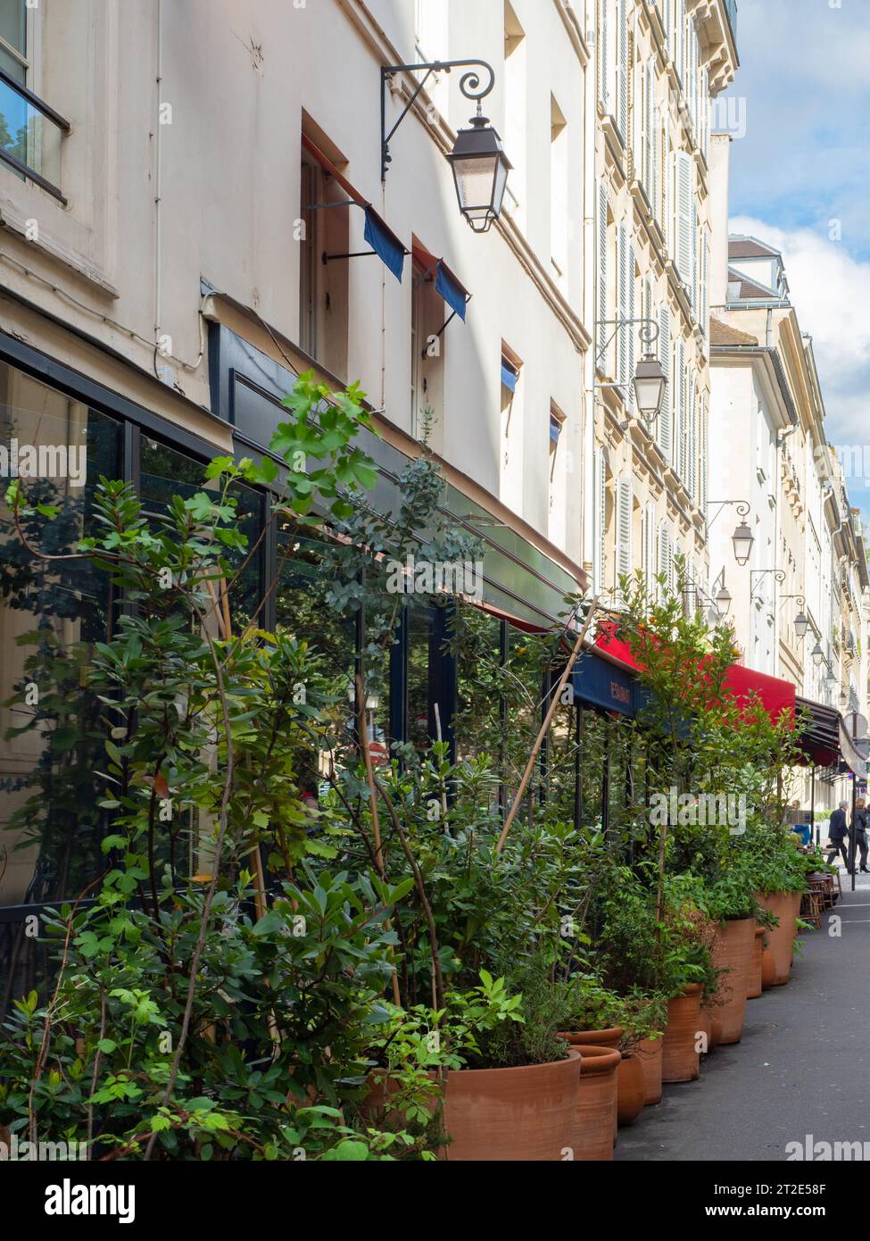 Parigi, Francia - 9 maggio 2023: Vicolo con facciate storiche e vegetazione a Saint-Germain-de-Pres Foto Stock
