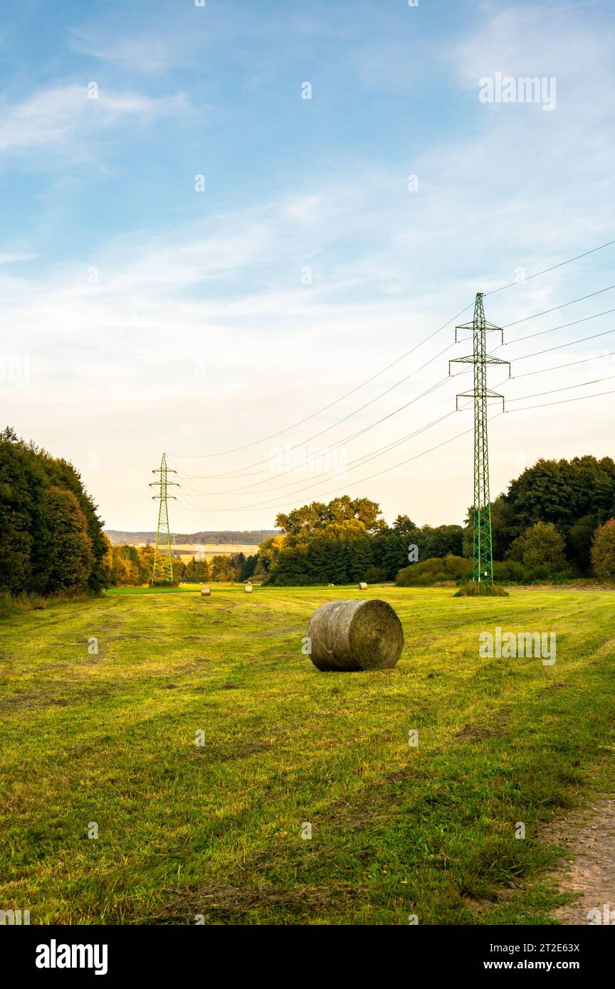 Linea elettrica ad alta tensione su terreni agricoli in prato. Foto Stock