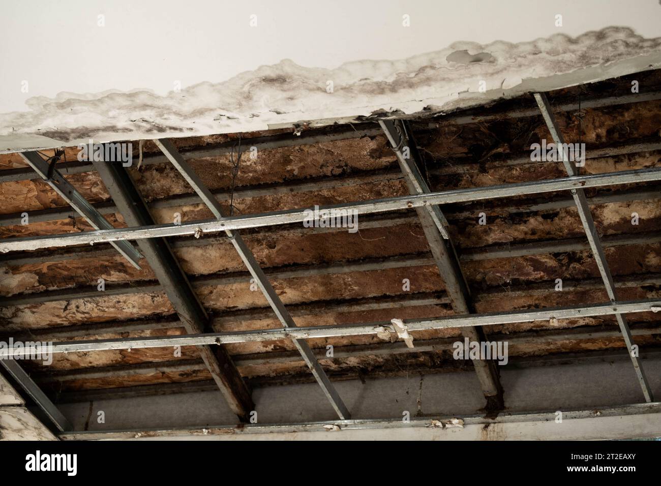 I pannelli del soffitto avevano danneggiato un grande foro nel tetto a causa di una perdita di acqua piovana. Soffitto danneggiato dall'acqua. Il soffitto si è rotto Foto Stock