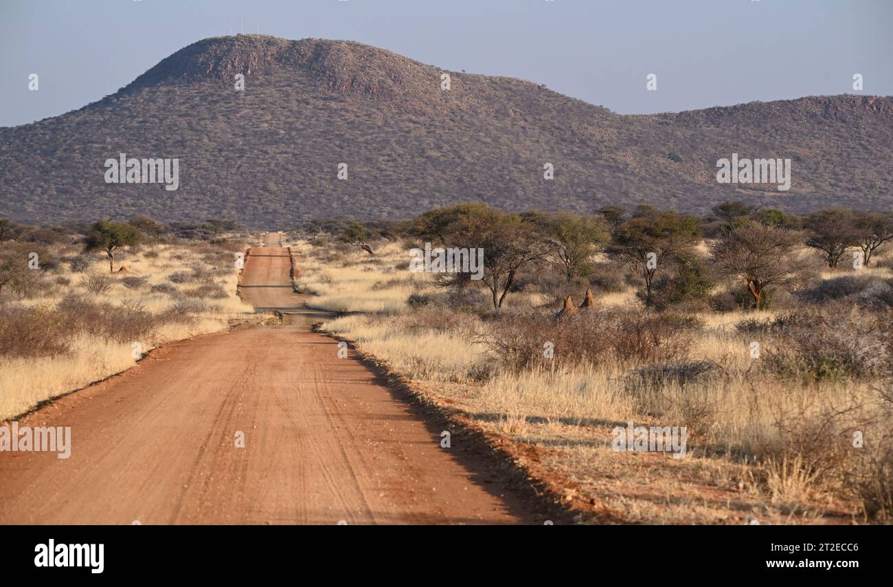 Paesaggio paesaggistico con strada di ghiaia rossa nella riserva naturale di Okonjima, Namibia Foto Stock