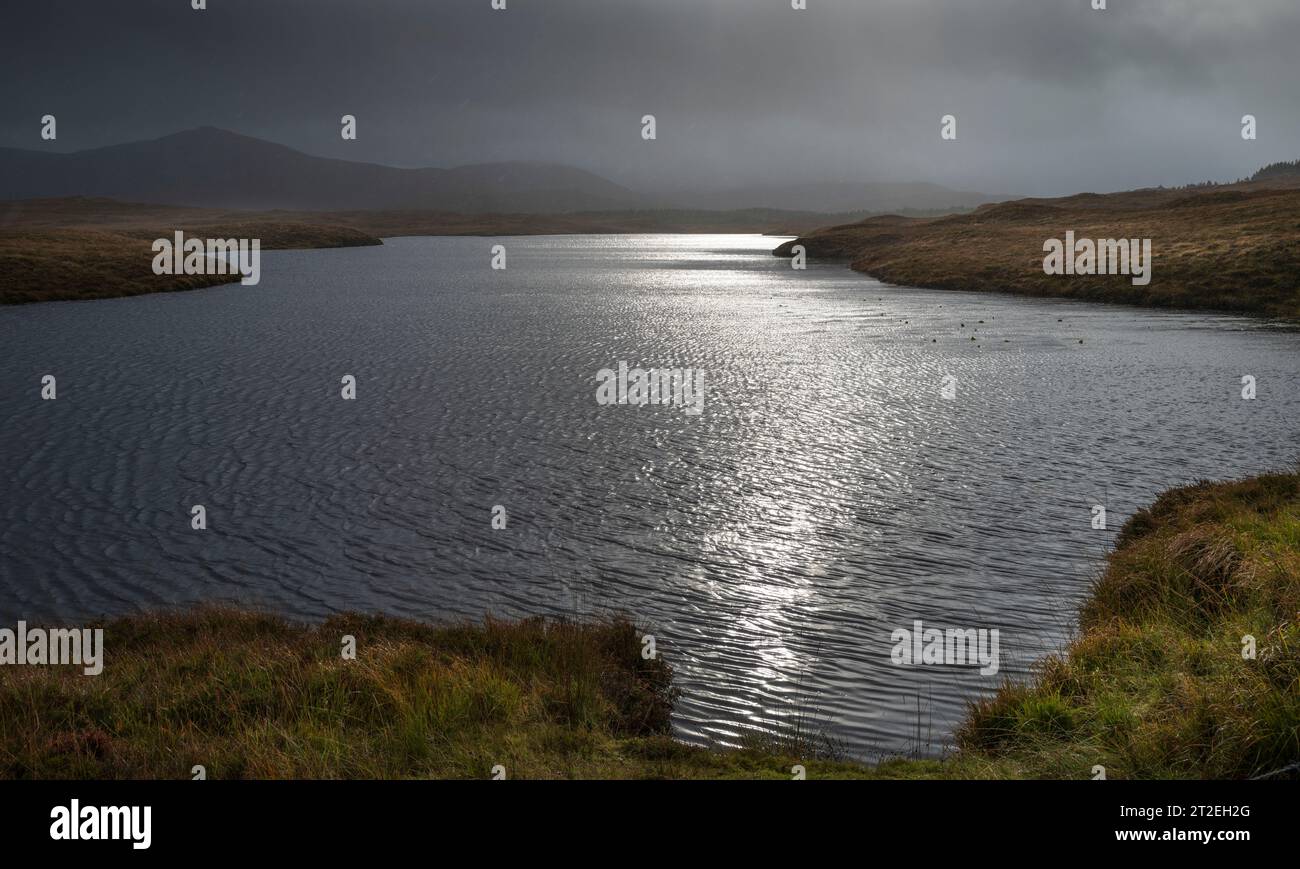 Guardando Loch Rathaid, Isola di Lewis, Ebridi esterne, Scozia in una mattinata selvaggia e umida Foto Stock