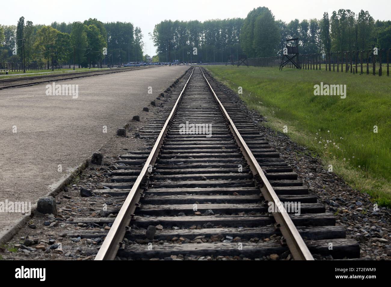 Auschwitz Birkenau, Polonia Foto Stock