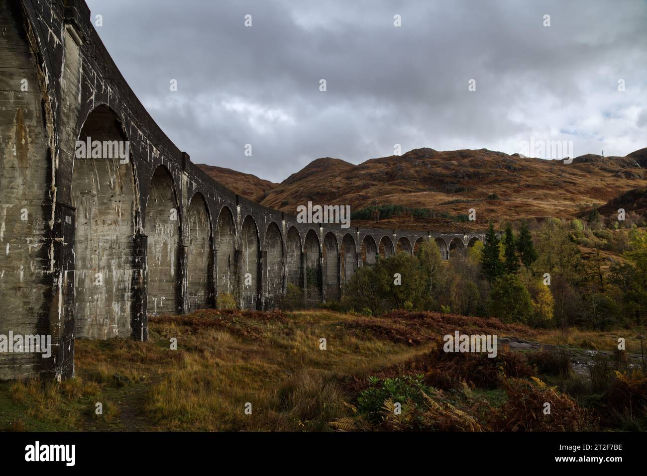 Harry Potter Foto Stock