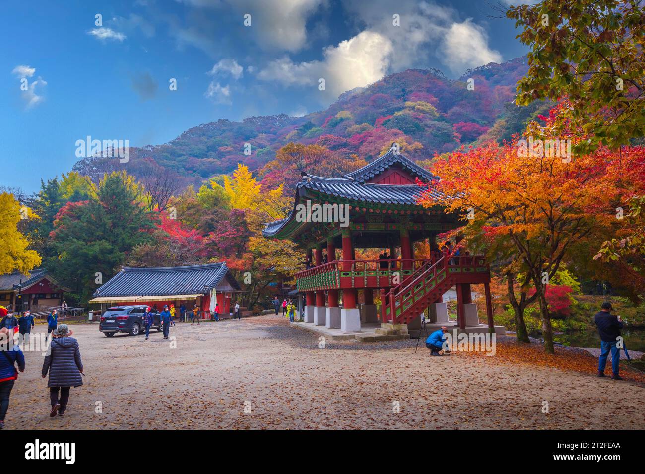 Autunno colorato con splendida foglia d'acero al tempio di Baekyangsa nel parco nazionale di Naejangsan, Corea del Sud. Foto Stock