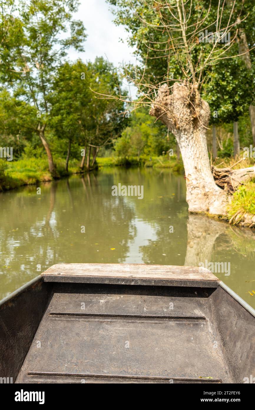 Naviga in barca sui canali d'acqua naturali tra la Garette e Coulon, Marais Poitevin la Venezia Verde, vicino alla città di Niort, in Francia Foto Stock