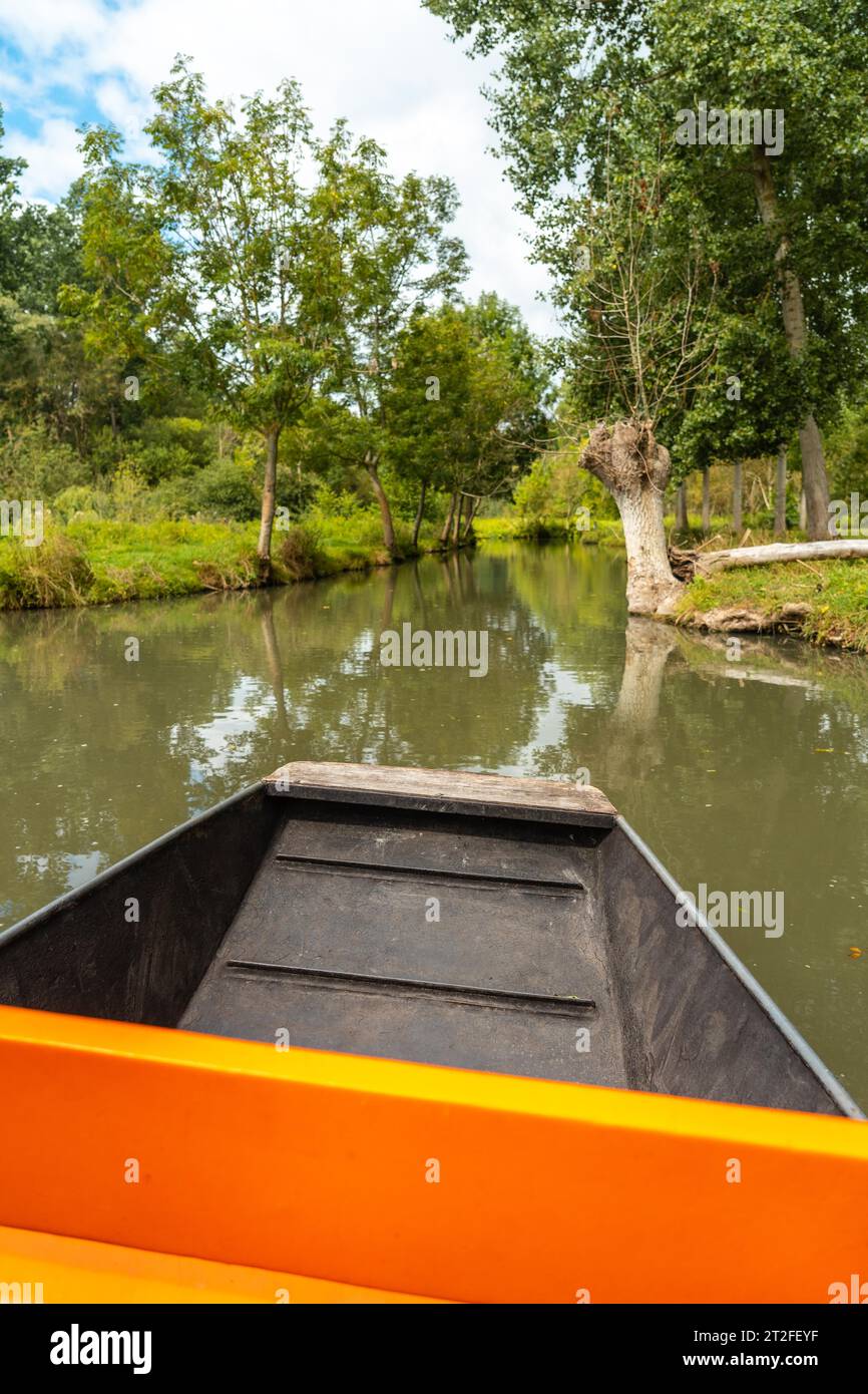 Naviga in barca sui canali d'acqua naturali tra la Garette e Coulon, Marais Poitevin la Venezia Verde, vicino alla città di Niort, in Francia Foto Stock