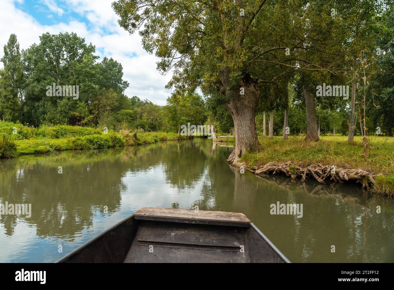 Naviga in barca sui canali d'acqua naturali tra la Garette e Coulon, Marais Poitevin la Venezia Verde, vicino alla città di Niort, in Francia Foto Stock