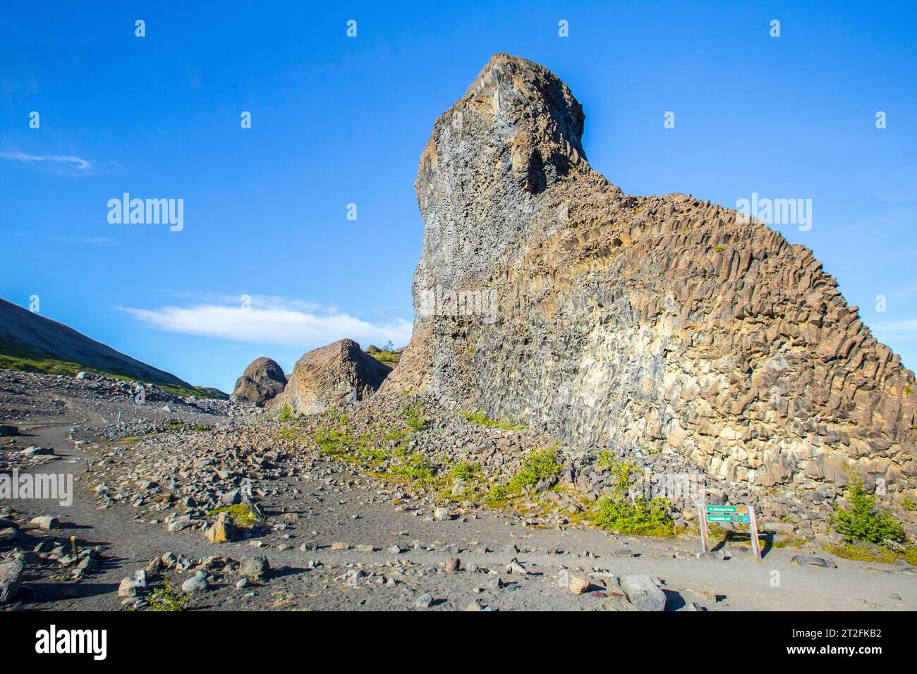 Fantastiche forme di pietra sul sentiero di trekking Jokulsargljufur, Islanda Foto Stock