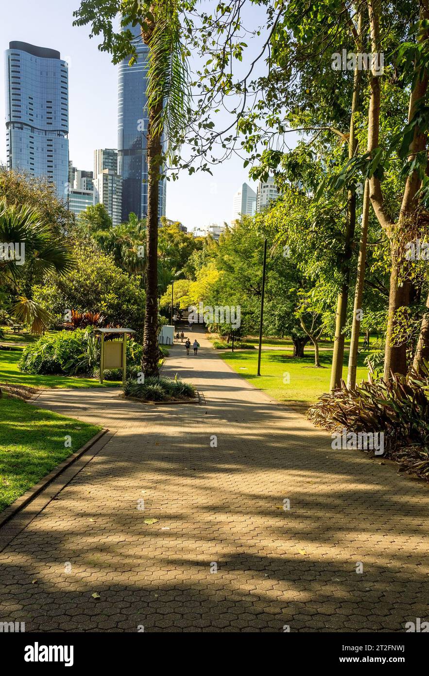 City Botanic Gardens è un parco pubblico a Brisbane, Queensland, Australia Foto Stock