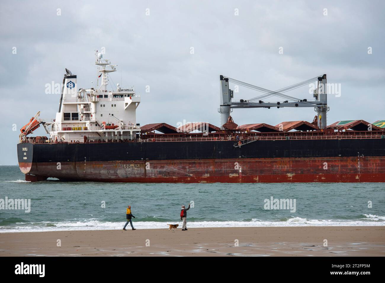 La nave portarinfuse Star Capella sta attraversando la spiaggia di Dishoek a Walcheren, Zelanda, Paesi Bassi. Der Massengutfrachter Star Capella passiert d Foto Stock