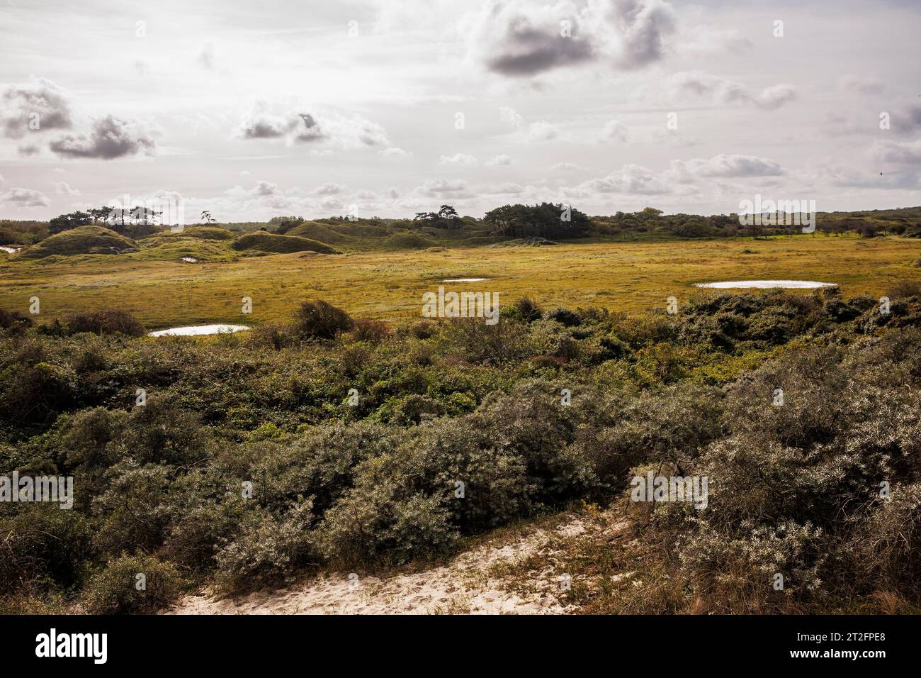 Paesaggio dune nel parco naturale di Oranjezon vicino a Vrouwenpolder sulla penisola di Walcheren, Zelanda, Paesi Bassi. Duenenlandschaft im Naturpark Oranjez Foto Stock