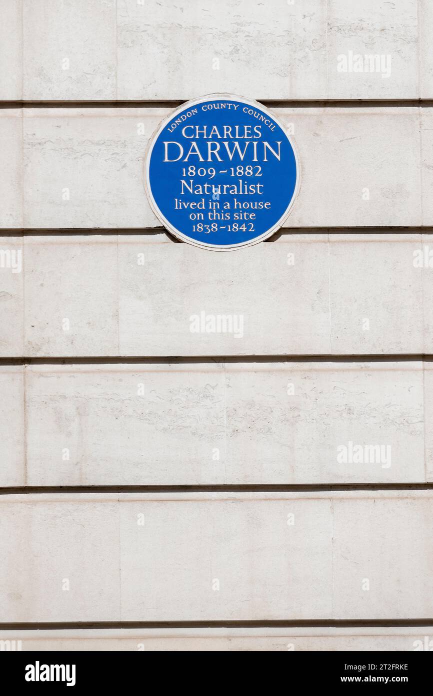 Targa blu commemorativa di Charles Darwin su un muro bianco a Londra. Solo per uso editoriale. Foto Stock