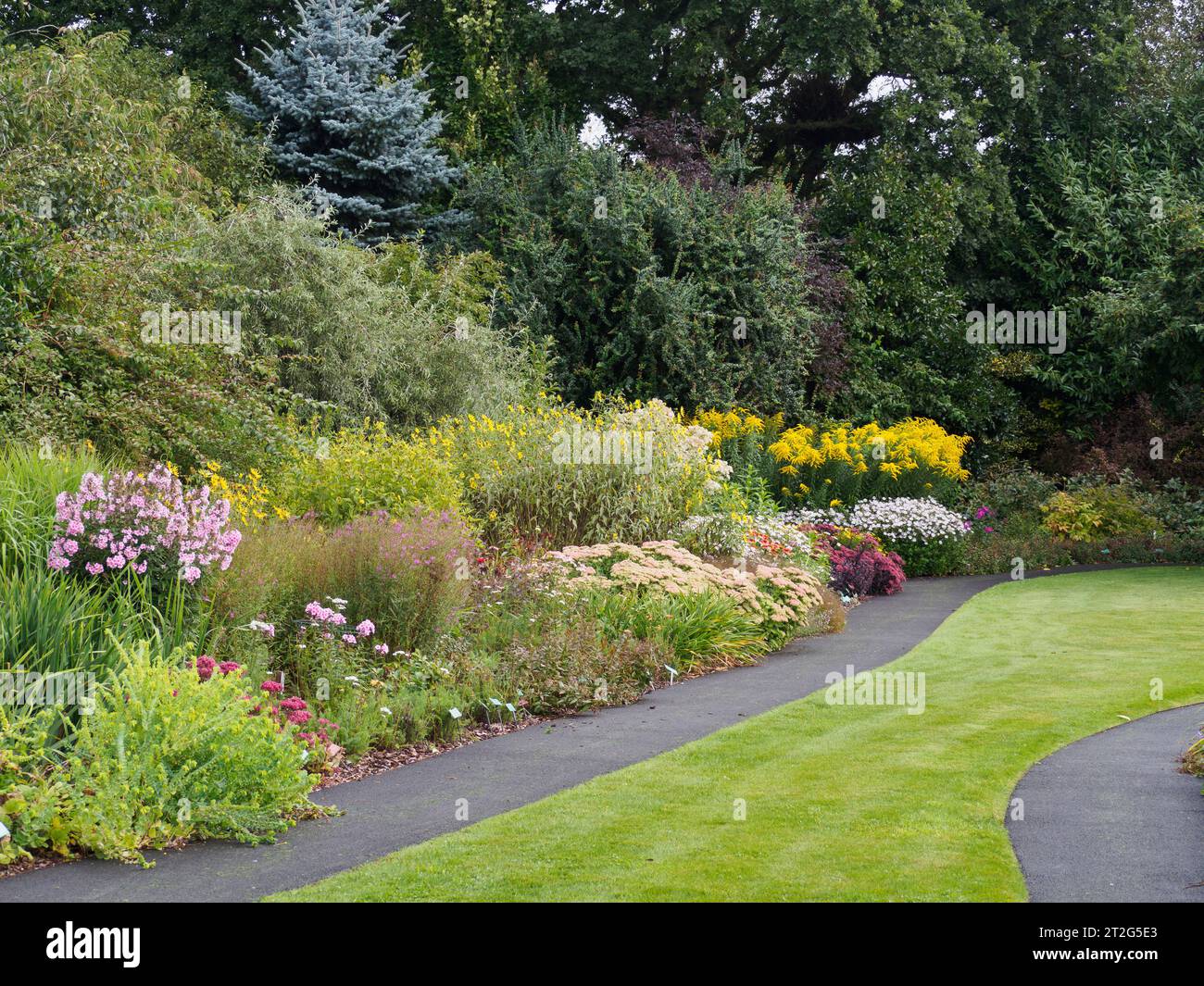 Piantagione di confine presso i Breezy Knees Gardens vicino a York Foto Stock