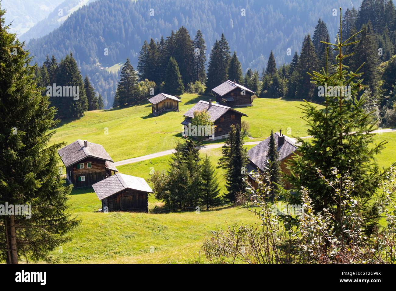 Comunità di montagna, Austria Foto Stock
