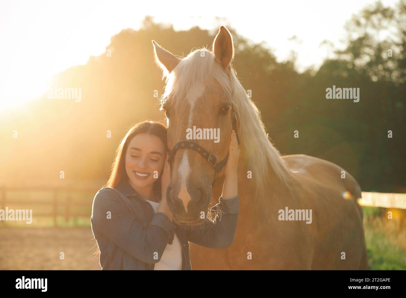Bella donna con adorabile cavallo all'aperto nelle giornate di sole. Adorabile animale domestico addomesticato Foto Stock