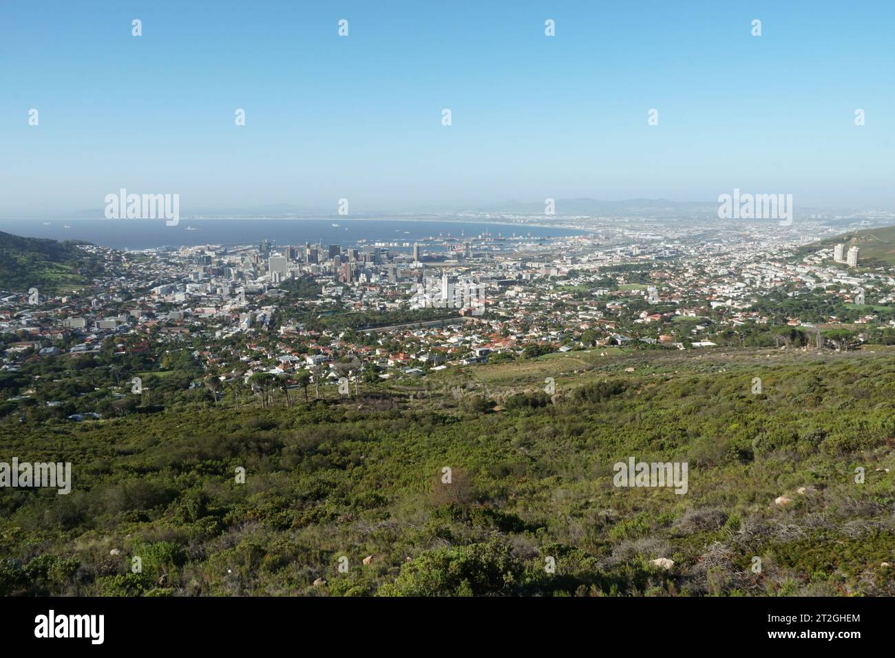 Vista panoramica di città del Capo e dell'oceano Atlantico dai piedi della Table Mountain ricoperta da prati verdi e cespugli. Foto Stock