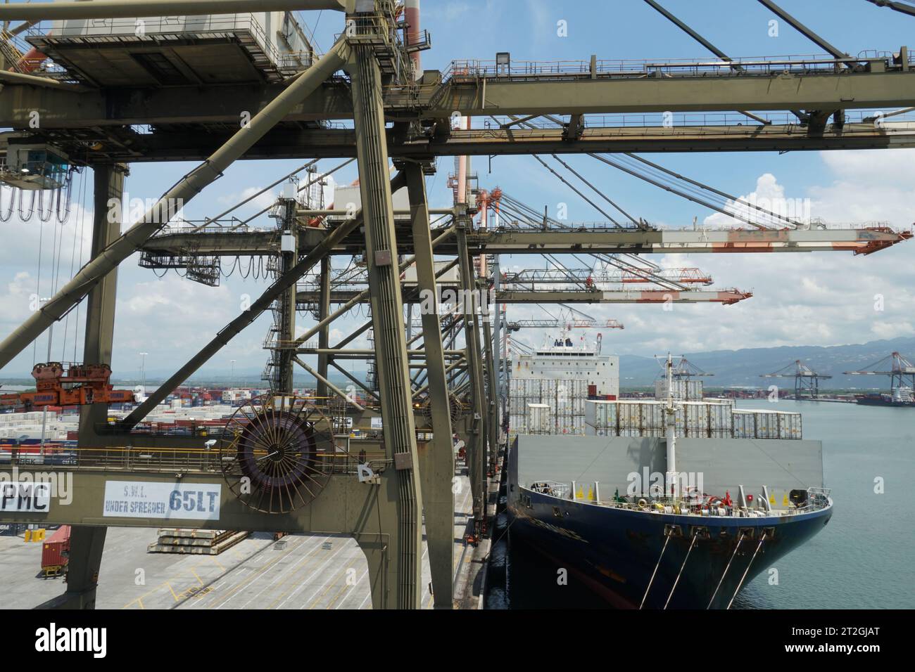 Operazioni di carico con gru a cavalletto azionate da stevedores di navi portacontainer completamente caricate con contenitori bianchi reefer. Foto Stock