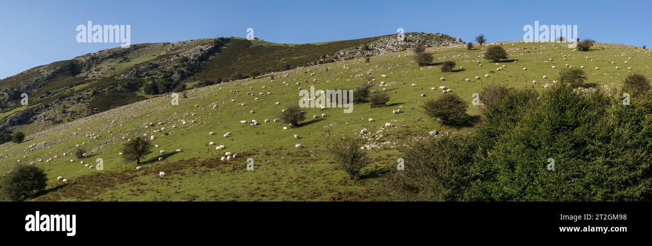 Sentiero GR 20 - percorso circolare per Aralar, parco naturale Aralar, Guipuzcoa-Navarra, Spagna Foto Stock