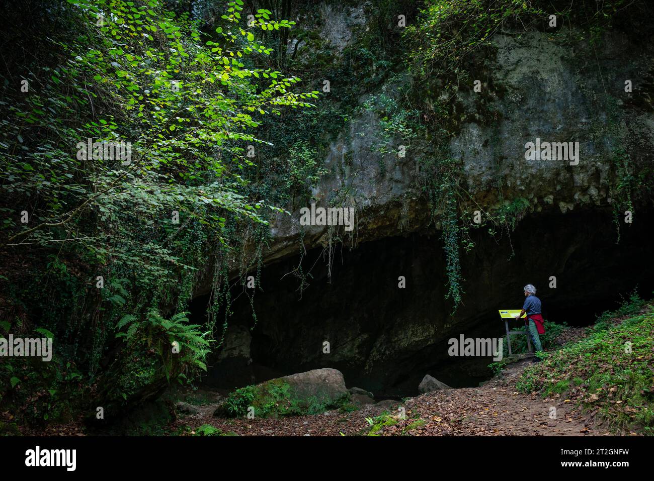 Parco paleolitico della Cueva del Valle, Rasines, Cantabria, Spagna Foto Stock