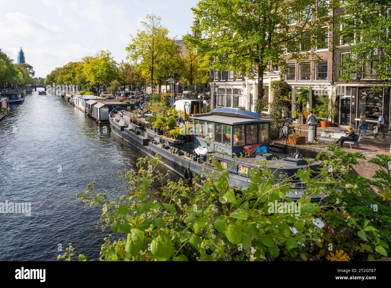 Vista sud lungo Prinsengracht, Amsterdam. Foto Stock
