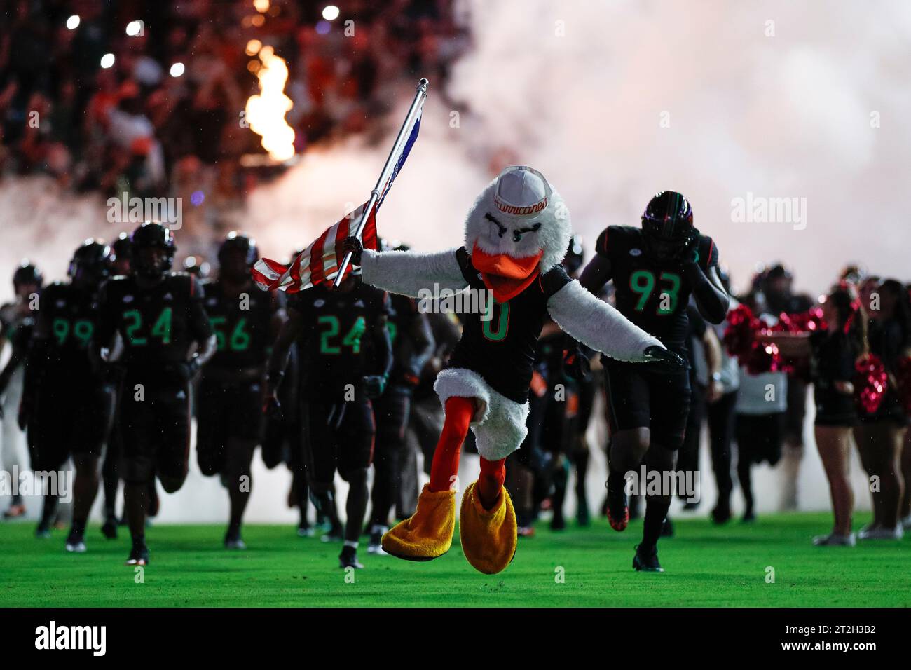 La mascotte dei Miami Hurricanes guida la squadra in campo prima di una partita di football universitario nella stagione regolare contro i Georgia Tech Yellow Jackets, S Foto Stock