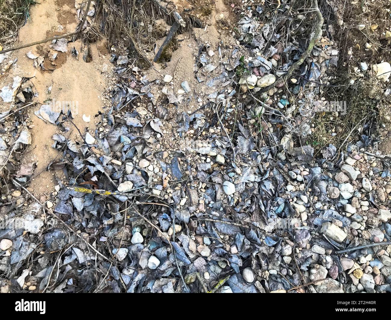 La consistenza delle piccole pietre naturali rotonde, dei bastoncini di ciottoli e dei ramoscelli nel bosco a terra. Lo sfondo. Foto Stock