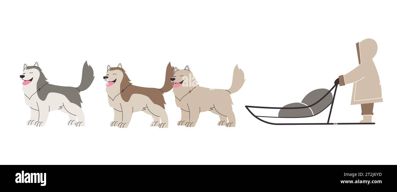 Slitta trainata da cani, bambini che cavalcano animali domestici malamuti sport sulla neve del lupo husky siberiano Illustrazione Vettoriale