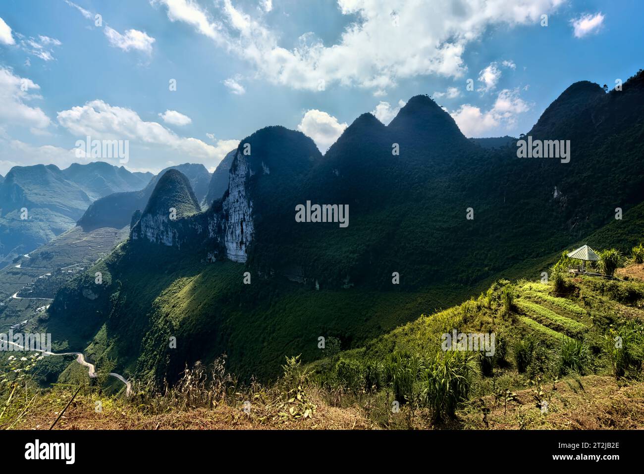 Cime carsiche di pietra calcarea sul ma Pi Leng Sky Walk, ha Giang, Vietnam Foto Stock