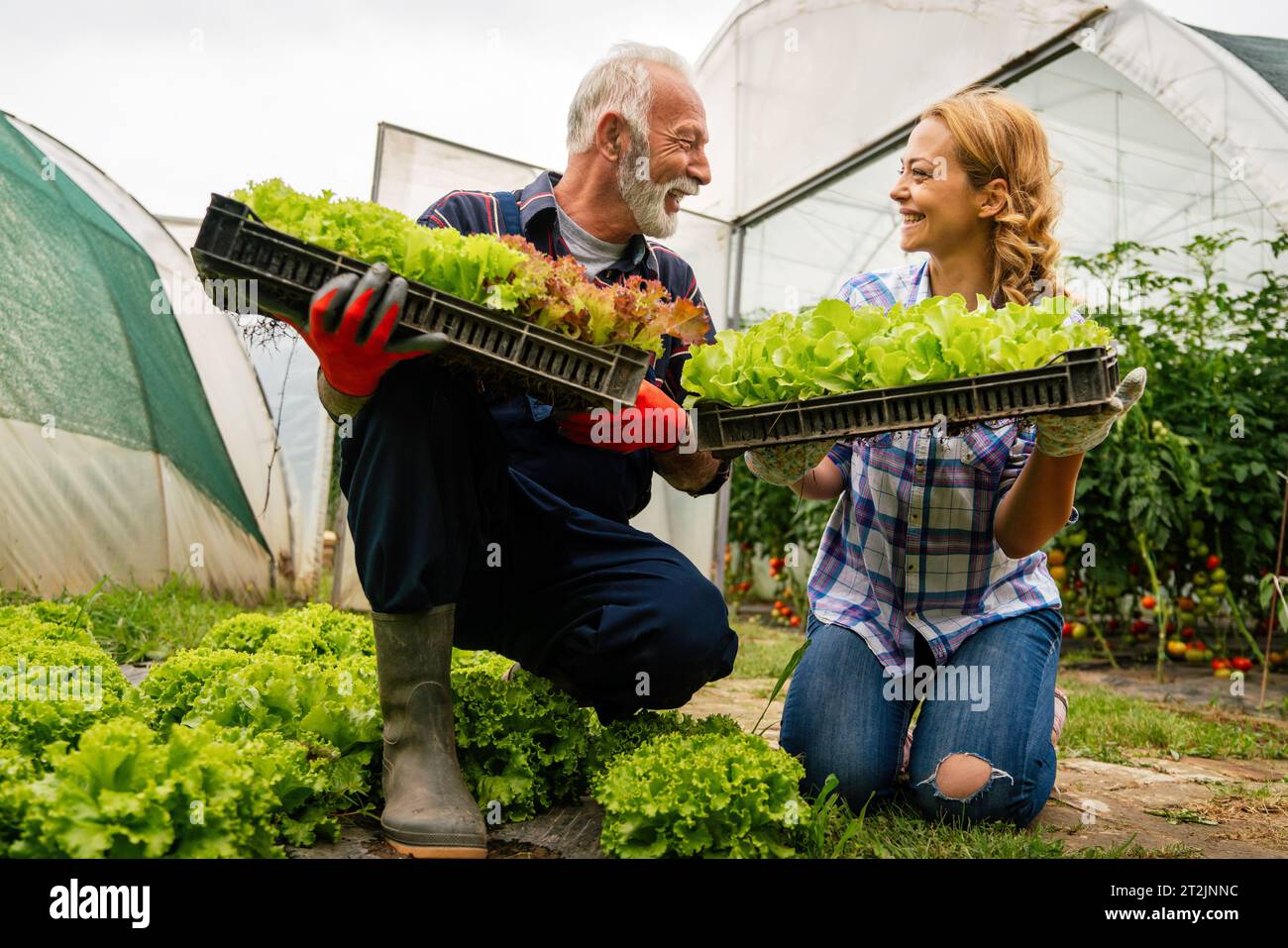 Famiglia felice di coltivatori biologici di verdure da vendere ai negozi locali. Foto Stock