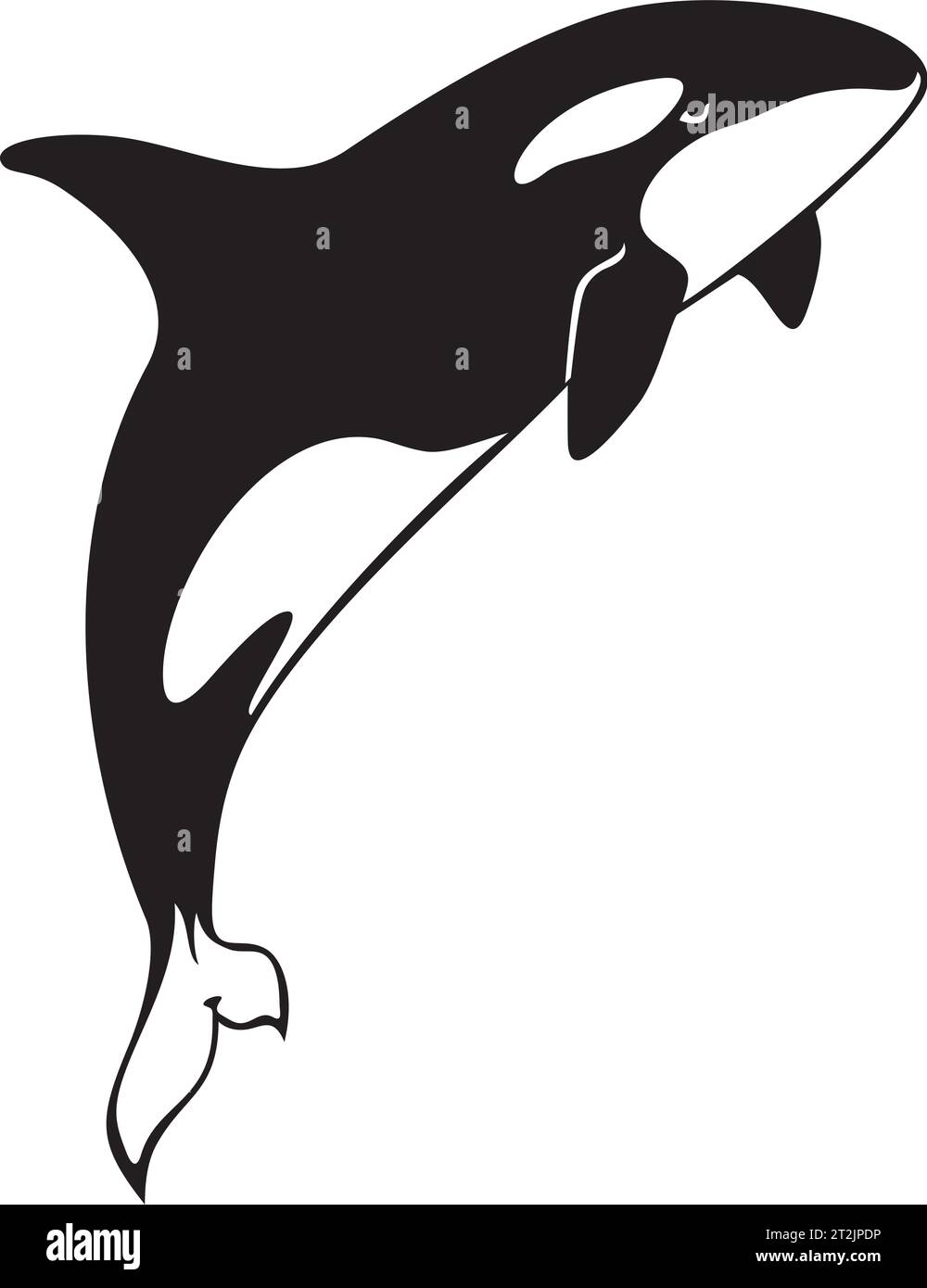 Killer Whale jumping. Orcinus Orca. Illustrazione vettoriale. Illustrazione Vettoriale