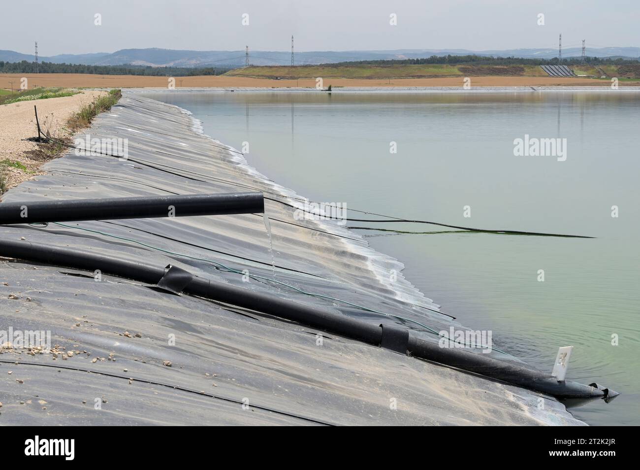 ISRAELE, città di Kiriat Malachi, allevamento di kibbutz Tzabar-Kama, stagno con acqua riciclata proveniente dall'impianto di trattamento delle acque di Gerusalemme, l'acqua è utilizzata per l'irrigazione / fattoria Kibutz, Becken mit aufbereitetem Schmutzwasser aus einem Klärwerk, das Wasser wird zur Bewässerung verwendet Foto Stock