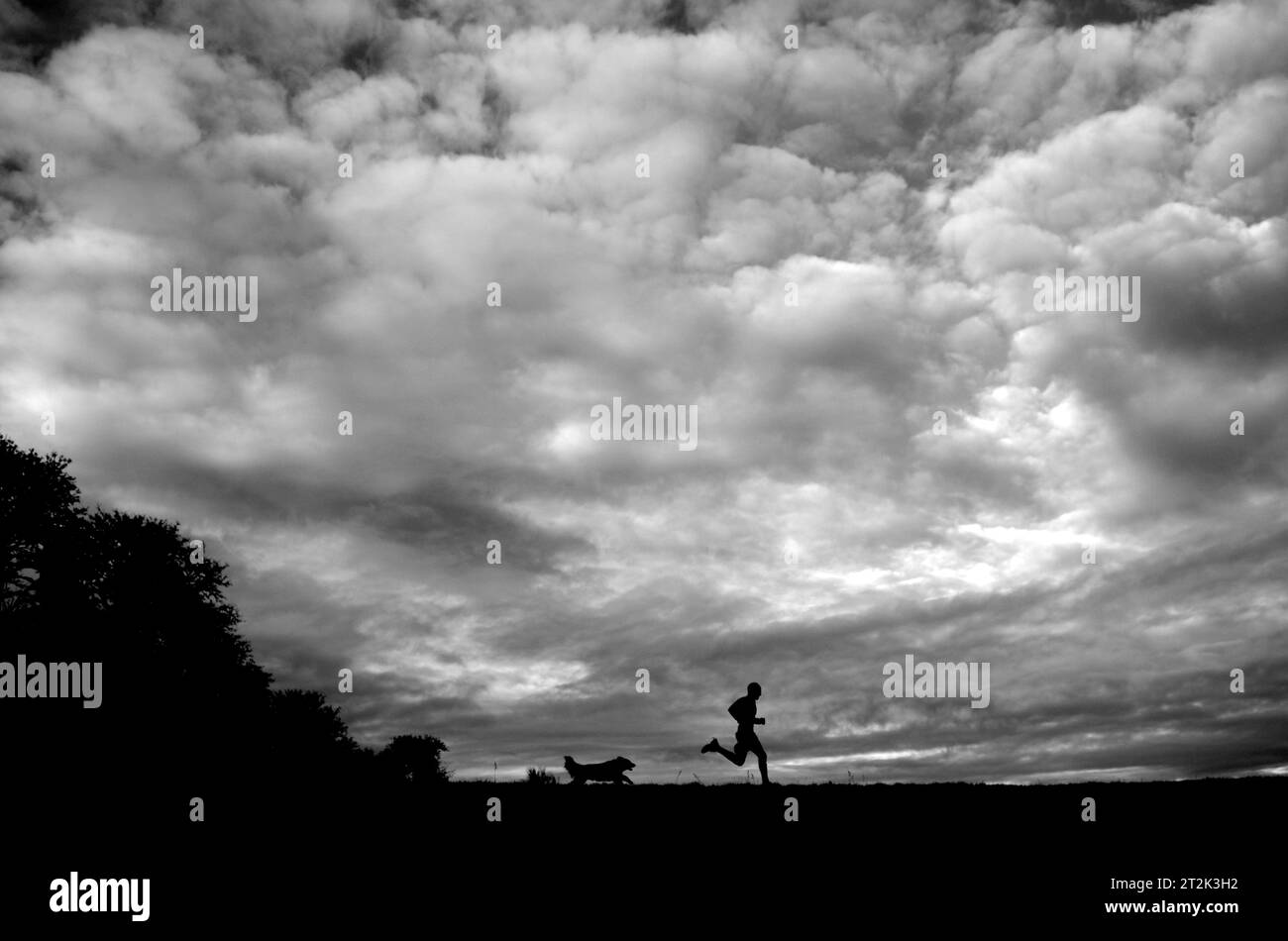 Con nuvole sorprendenti che coprono il cielo, un uomo e il suo cane corrono in un campo erboso vicino a Corvallis, Oregon. Foto Stock