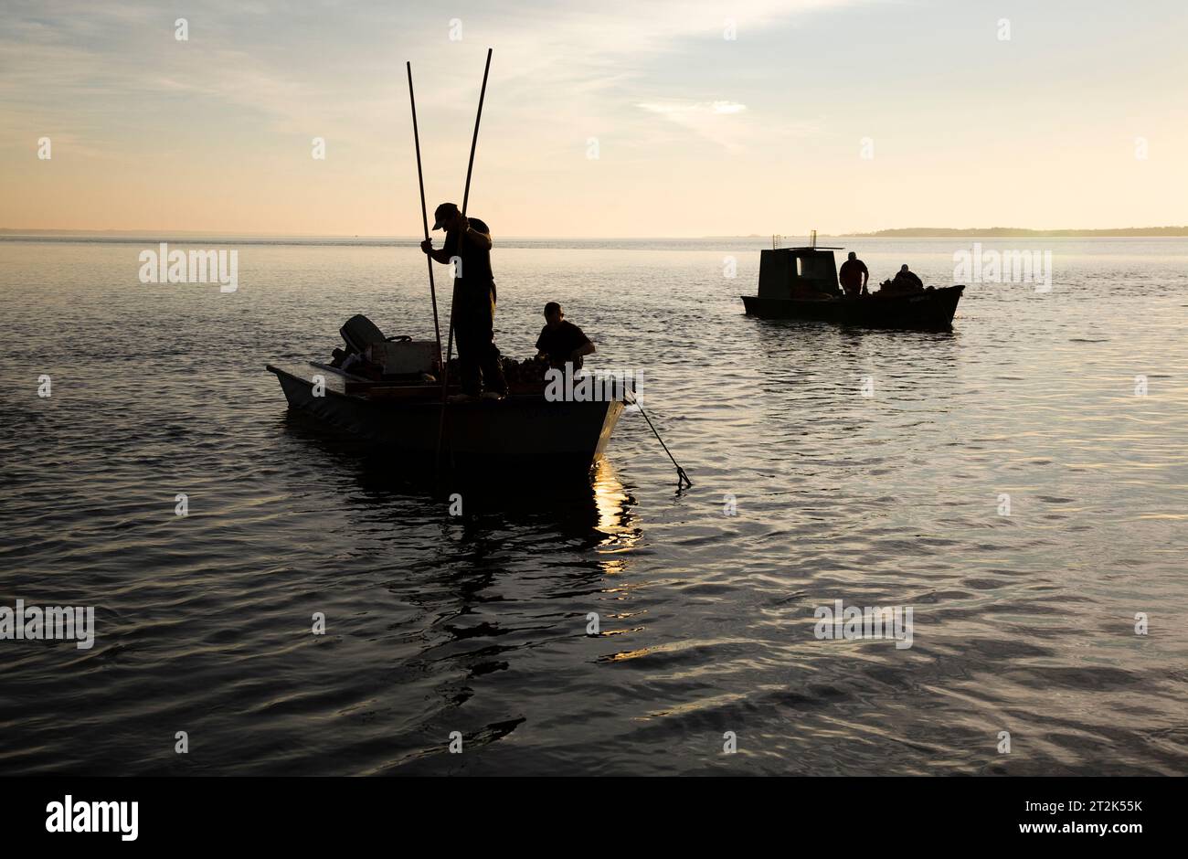 I giovani uomini si stagliano contro il cielo mattutino di Apalachicola Bay, Florida, rastrellando i letti di ostriche con le loro pinze. Foto Stock