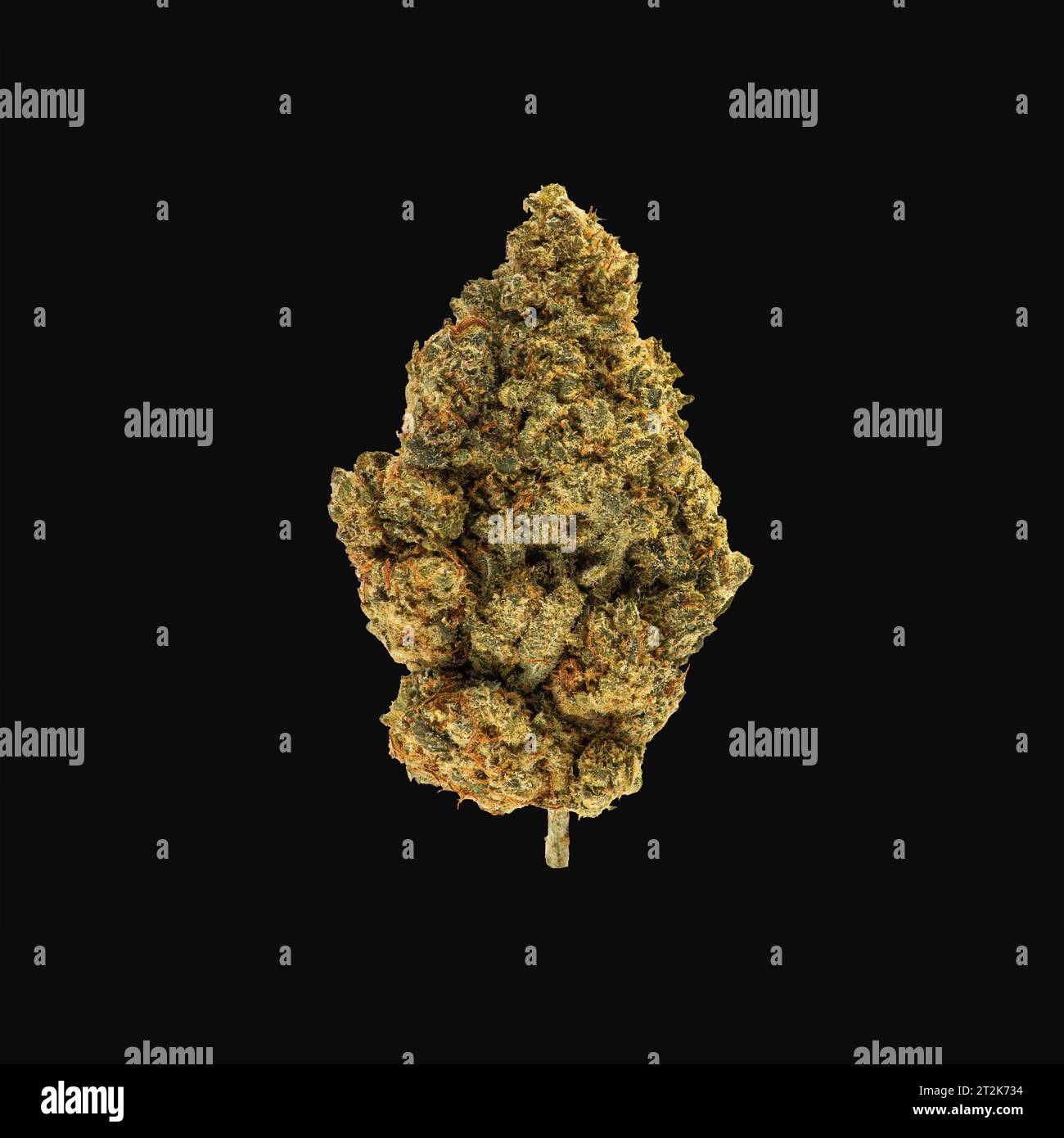 Cannabis Flower marijuana Bud su sfondo nero Foto Stock