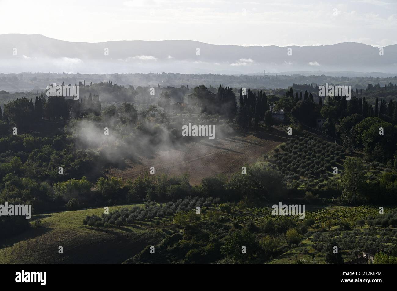 Nebbia mattutina intorno a San Gimignano, Toscana, Italia Foto Stock