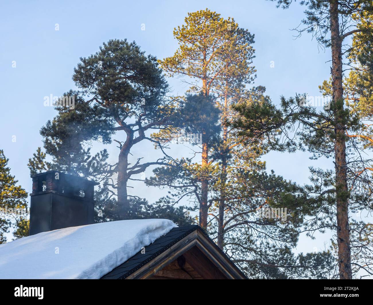 Caminetto per fumatori in una cabina finlandese all'interno di una foresta Foto Stock