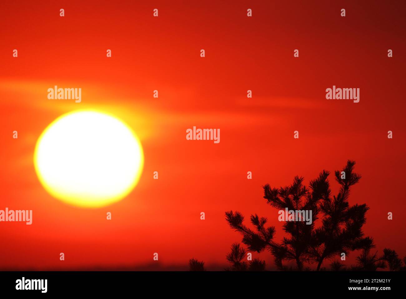 Tramonto con cielo rosso sangue, Ungheria meridionale Foto Stock