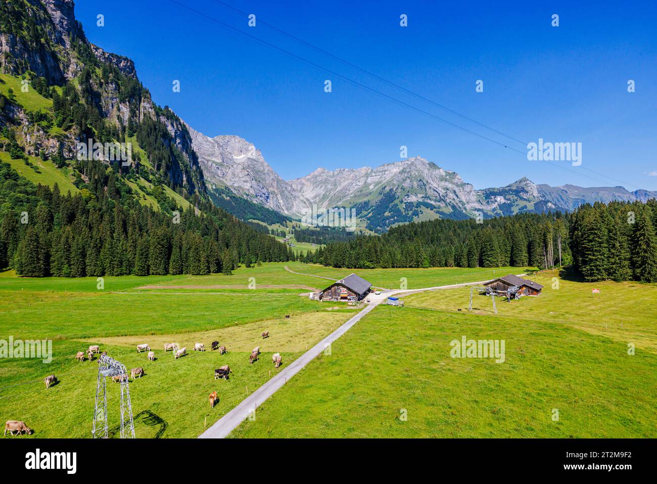 Vista della fattoria e dei campi sopra il villaggio di Engelberg, Svizzera centrale, vista dalla cabinovia Titlis Xpress fino al Monte Titlis Foto Stock