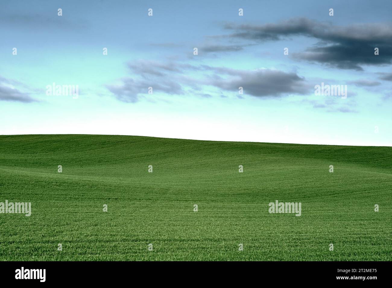 Paesaggio di prati verdi e tranquilli all'orizzonte e cielo blu con nuvole. Foto Stock