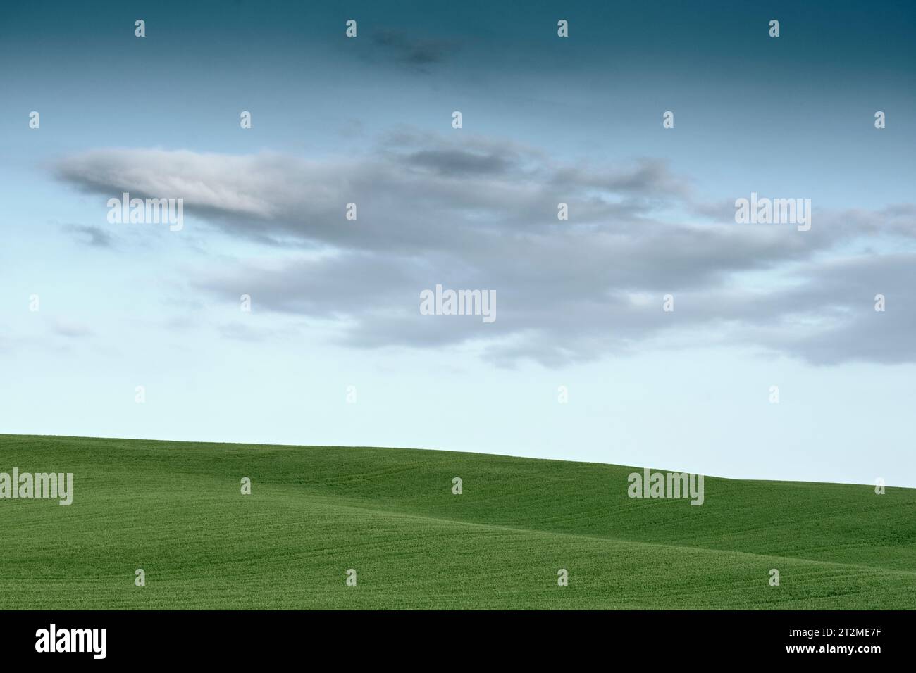 Paesaggio di prati verdi e tranquilli all'orizzonte e cielo blu con nuvole. Foto Stock