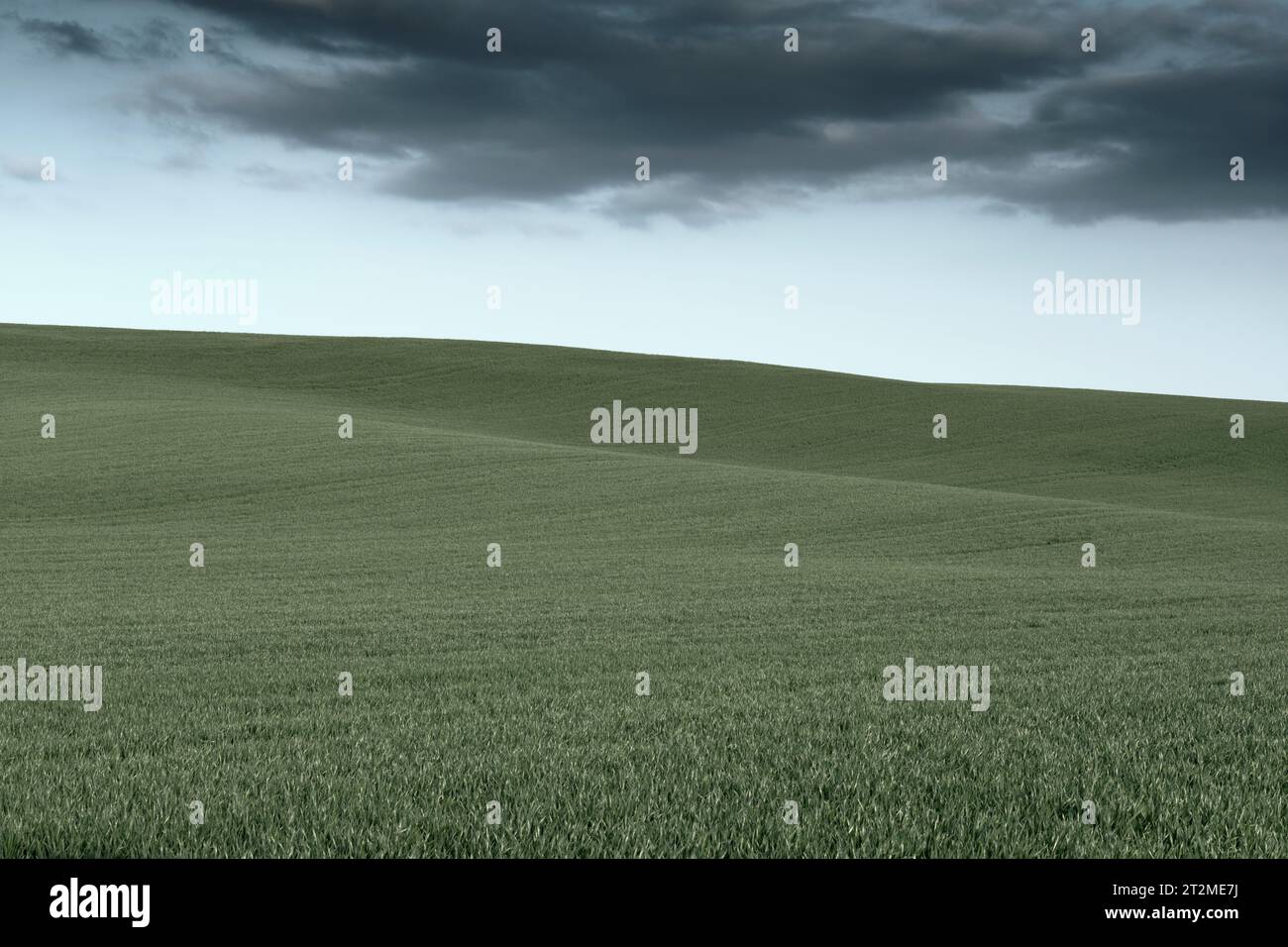Paesaggio di prati verdi e tranquilli all'orizzonte e cielo blu con nuvole. Foto Stock