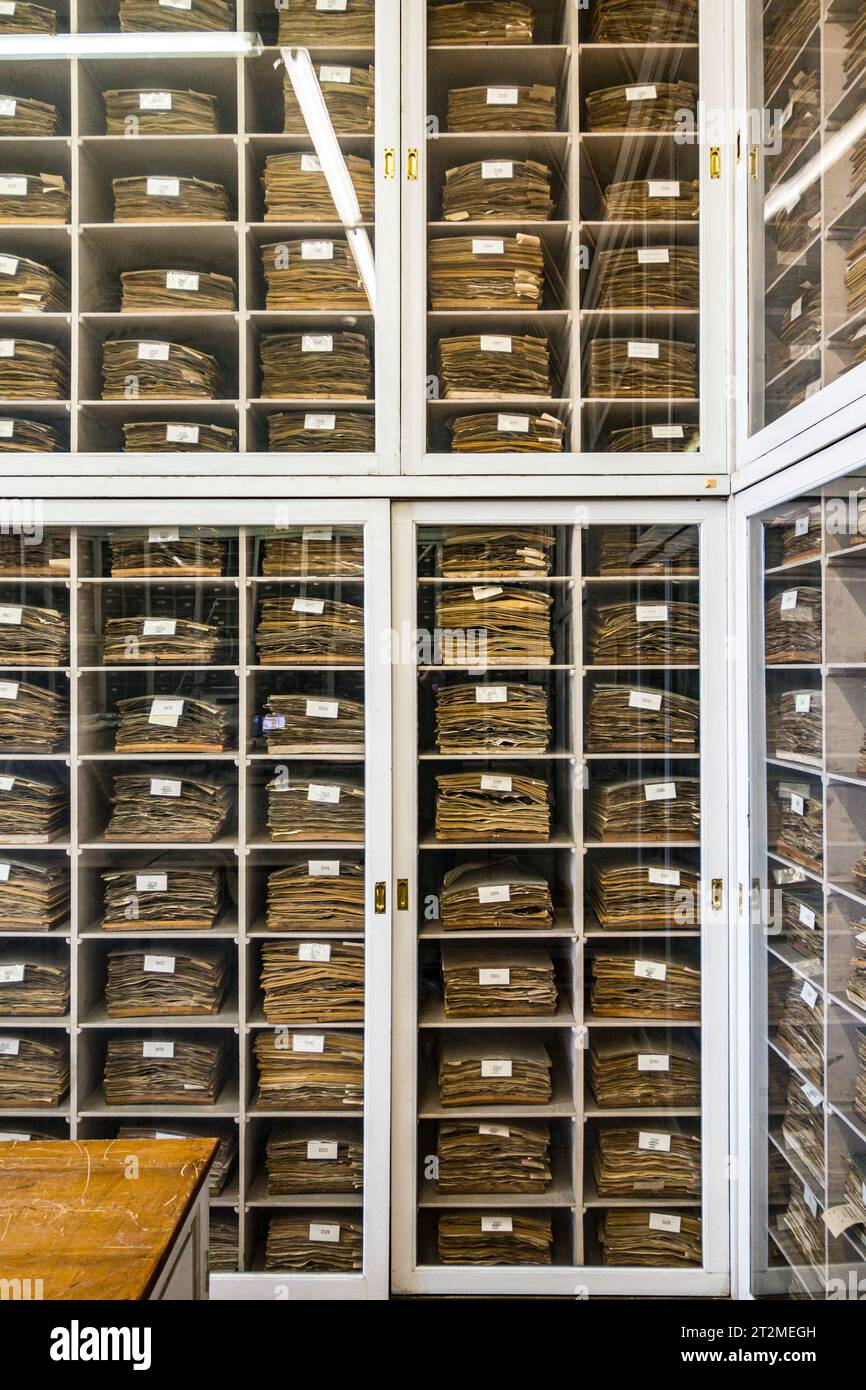 Firenze, Italia. Scaffali di esemplari provenienti dal vasto Herbarium Webb 19c, conservato nel dipartimento botanico del Museo di storia naturale Foto Stock