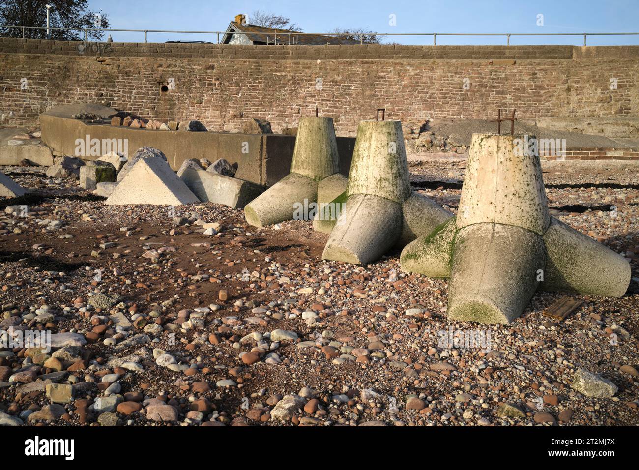 Foreshore concrete Defence Blocks a Swanbridge, vicino Penarth, Galles del Sud, Regno Unito Foto Stock