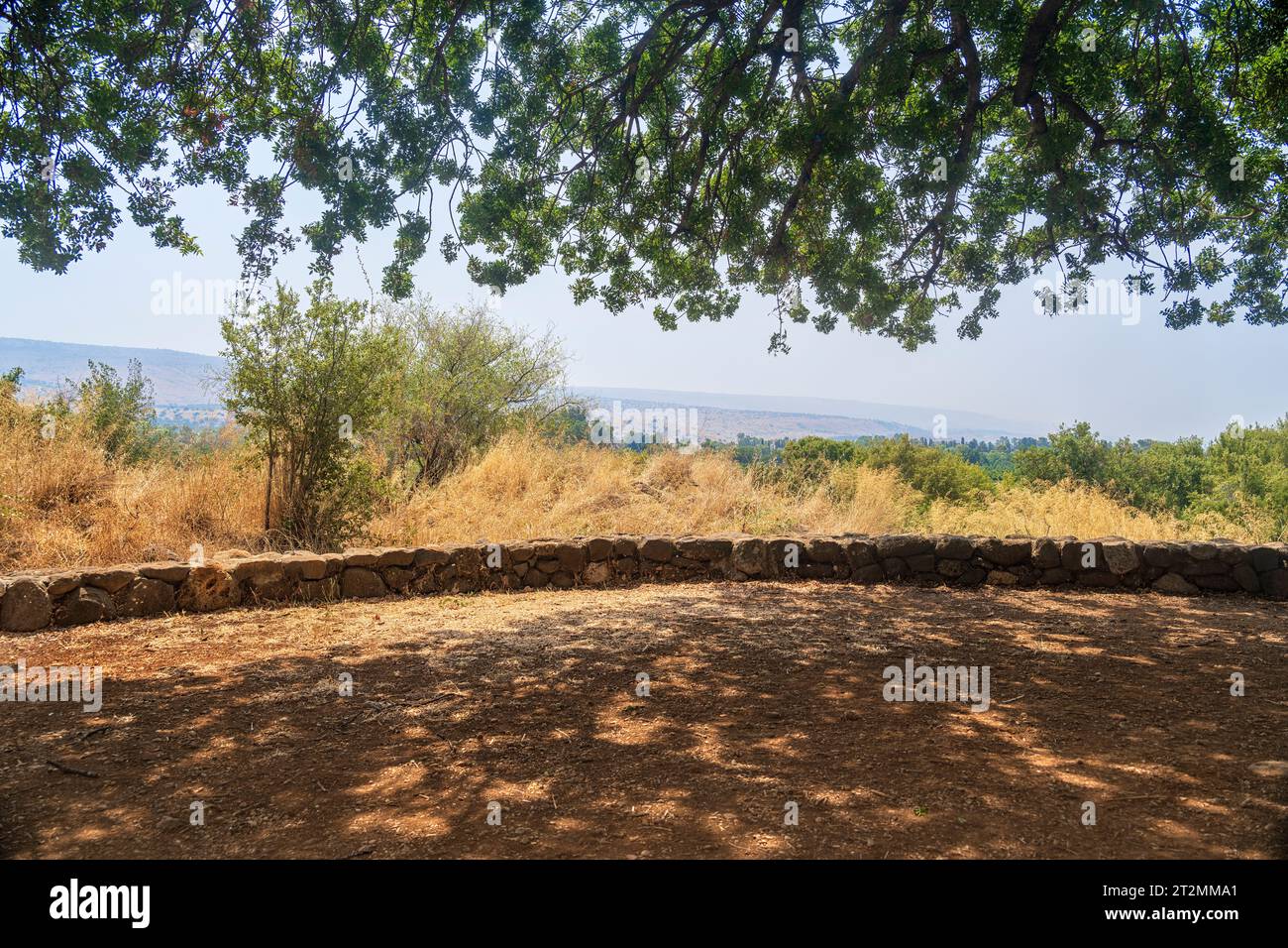 Un'ampia tettoia di alberi e vista della riserva naturale di Tel Dan nel nord di Israele. Foto Stock